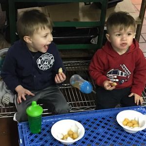 Meet your Posher, Alan